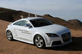Audi shelley.jpg